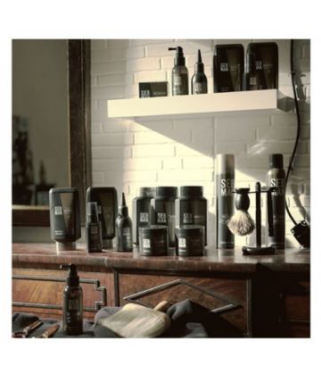 Sebastian Shampooing Purifiant The Purist Seb Man 250 ml