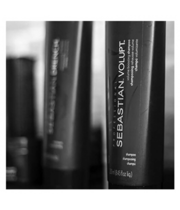 Sebastian Shampooing Volupt 250 ml