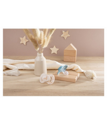 Luc et Léa Nature 2 Sucettes Anatomiques Téterelle Extra-Fine 0-6 Mois