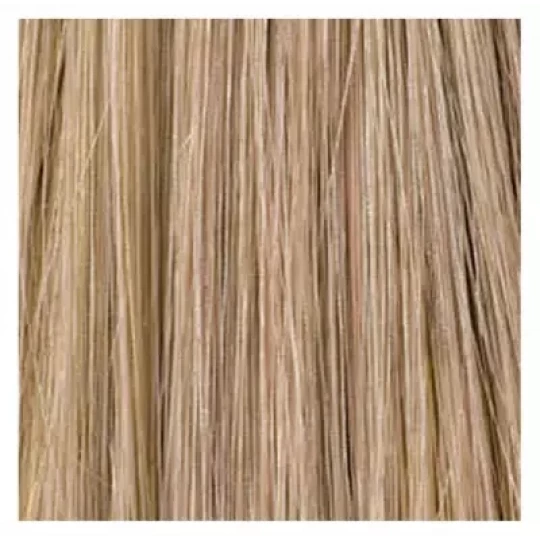 Fibres Capillaires Densifiantes Toppik - Format 12 g