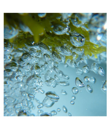 Urban Keratin Shampooing Marin Ocean Therapy