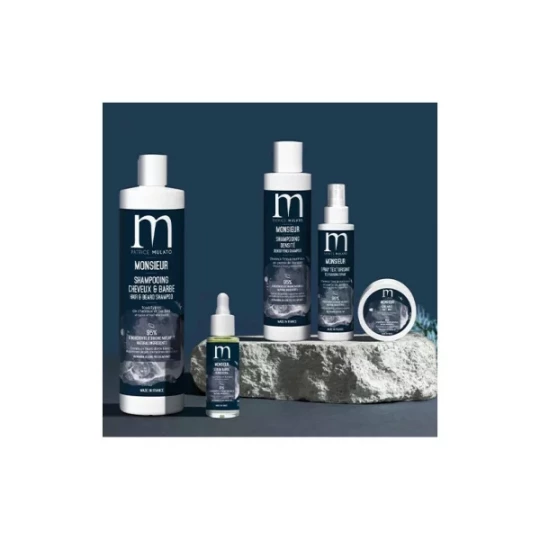 Patrice Mulato Shampooing Barbe & Cheveux Monsieur - image 2