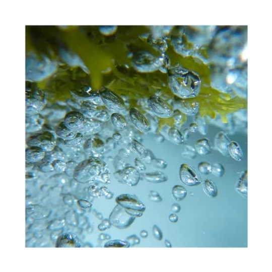 Urban Keratin Lissage Collagene & Protéine Ocean Therapy - image 2
