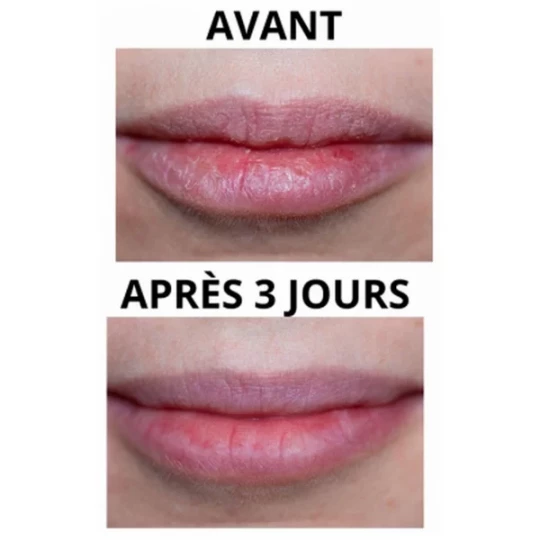 Pomponne Rouge à Levres Soin 4 g - image 2