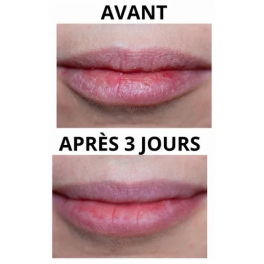 Pomponne Rouge à Levres Soin 4 g - image 7