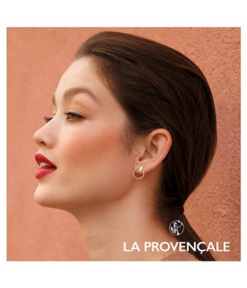 La Provençale Bio Lumiere d'Ocres Le Fard à Joues Bio 8 g