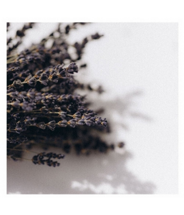 Berdoues Eau de Cologne Lavande