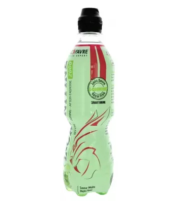 Eric Favre Boisson L-Carnitine 500 ml