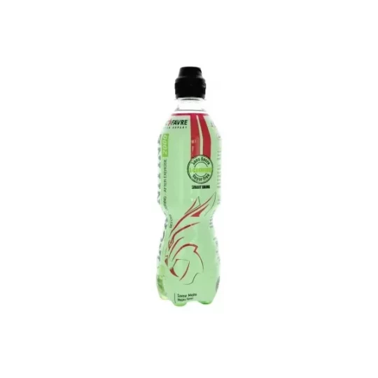 Eric Favre Boisson L-Carnitine 500 ml