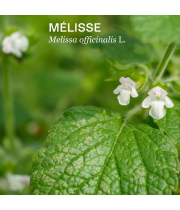 Naturactive Sériane Sommeil Gélules x 30