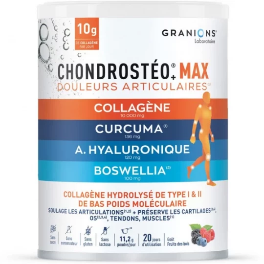 Granions Chondrostéo Max Collagène Poudre 250 g