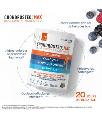 Granions Chondrostéo Max Collagène Poudre 250 g - image 2