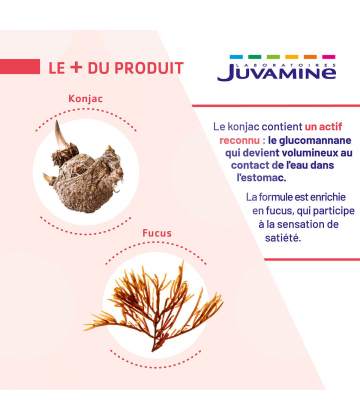 Juvamine Expert Satiete 2 En 1 Gélules x 60