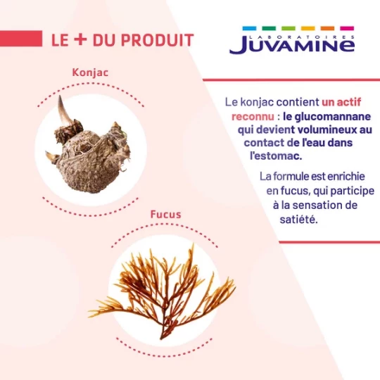 Juvamine Expert Satiete 2 En 1 Gélules x 60 - image 3