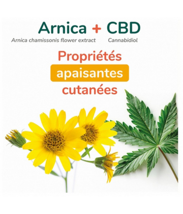 Arnican Massage CBD Roll-On 50 ml