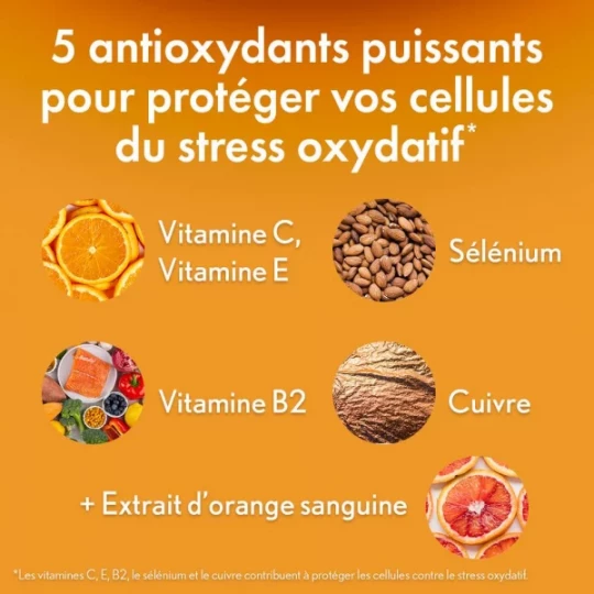 Oenobiol Sun Expert Protection Antioxydante Capsules x 60 - image 2