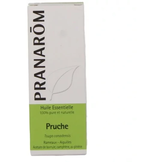 Pranarôm Huile Essentielle Pruche (Tsuga Canadensis) 5 ml - image 2