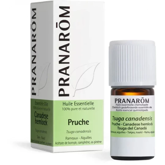 Pranarôm Huile Essentielle Pruche (Tsuga Canadensis) 5 ml