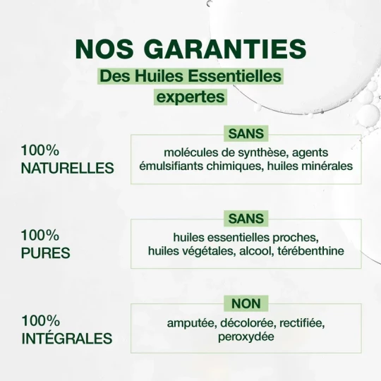 Pranarôm Huile Essentielle Badiane ou Anis Étoilé (Illicum Verum) Bio 10 ml - image 2