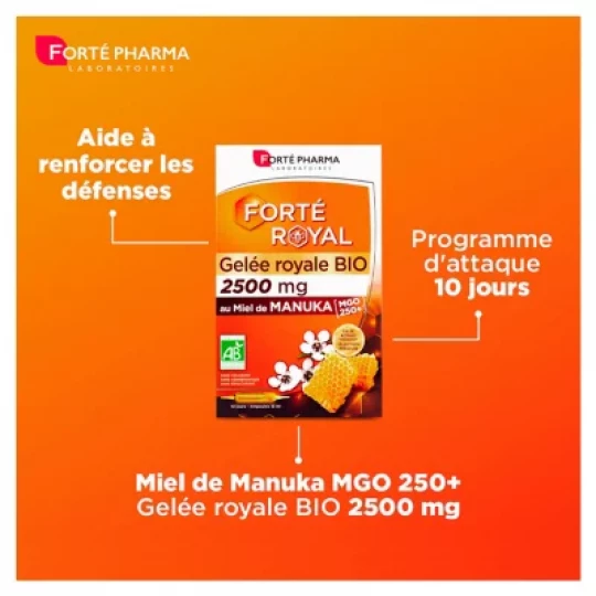 Forté Pharma Forté Royal Gelée Royale 2500 mg Bio Ampoules x 10 - image 2