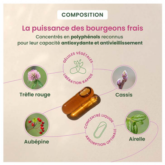 HerbalGem Ménopause Gélules x 30 - image 4