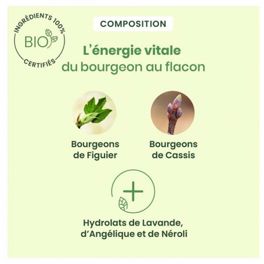 HerbalGem Calmigem Bio 30 ml - image 4
