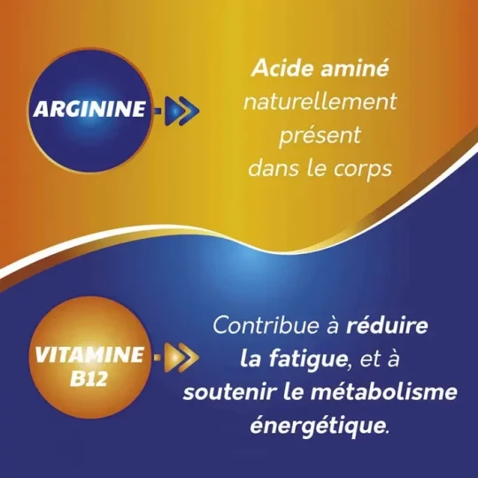 Sargenor Arginine & Vitamine B12 Ampoules x 20 - image 3