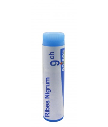 Boiron Dose Ribes Nigrum 9CH