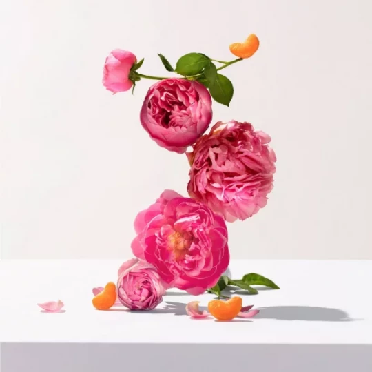 Roger&Gallet Lait Sorbet Rose - image 4