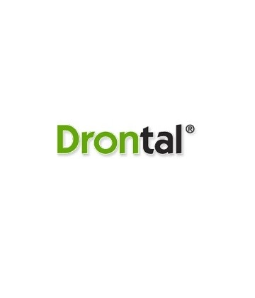 Logo Drontal