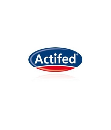 Logo Actifed